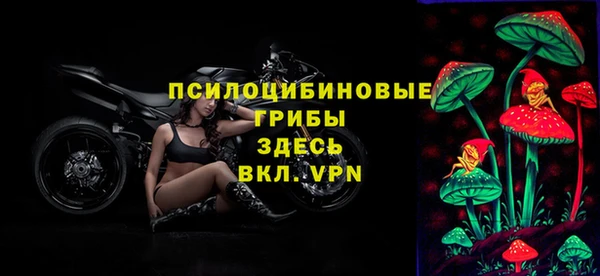 кокс Карпинск