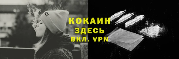прущие грибы Касимов