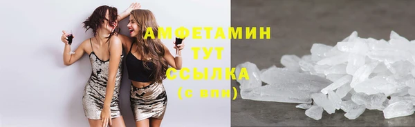 прущие грибы Касимов