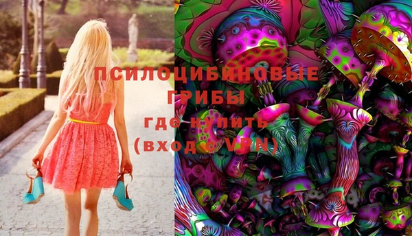 spice Киреевск