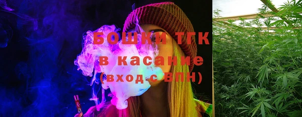 прущие грибы Касимов
