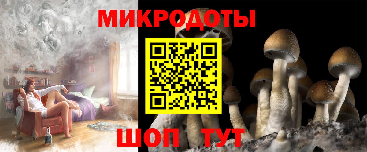 Галлюциногенные грибы ЛСД Минеральные Воды